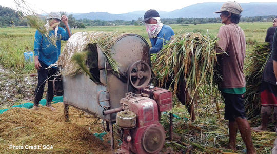 PALAY