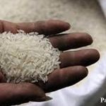 MILLED RICE