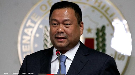 Senador JV Ejercito