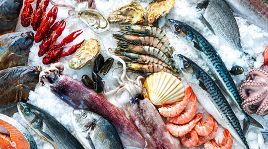 IMPORTED SEAFOODS