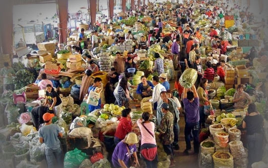 La Trinidad Vegetable