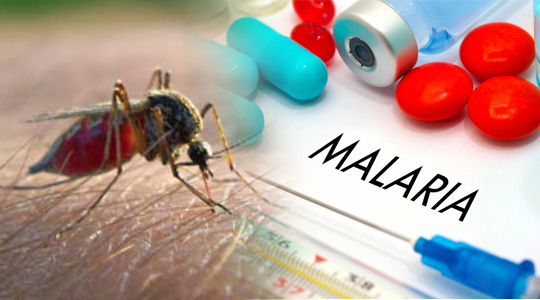 MALARIA