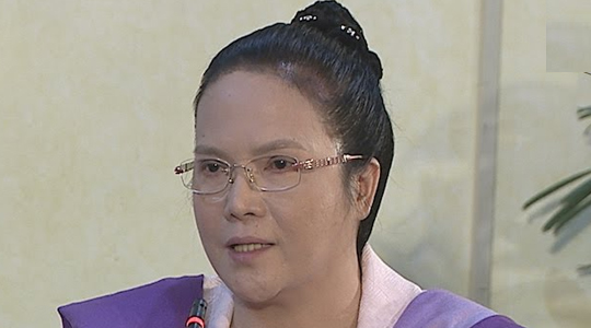 PAO Chief Persida Acosta