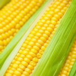 YELLOW CORN