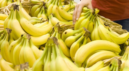 BANANA EXPORTS