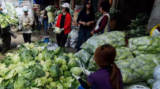 La Trinidad Vegetable