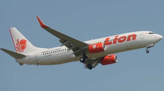 Lion Air passenger plane crash