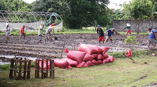 ORGANIC FARMING