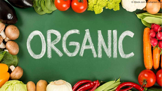 ORGANIC FOOD