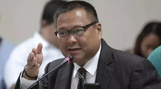 Senador JV Ejercito