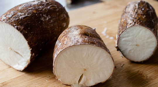 Cassava