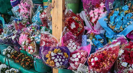 BULAKLAK LA TRINIDAD