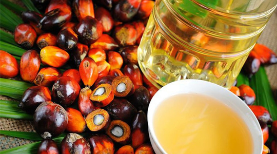 PALM OIL