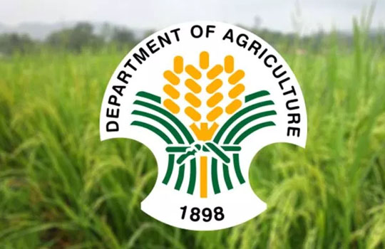 department of agriculture