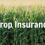 CROP INSURANCE-2