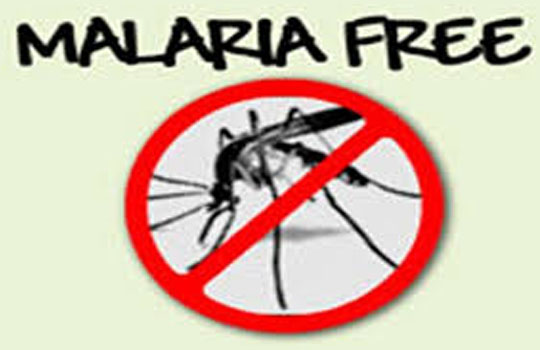 MALARIA FREE