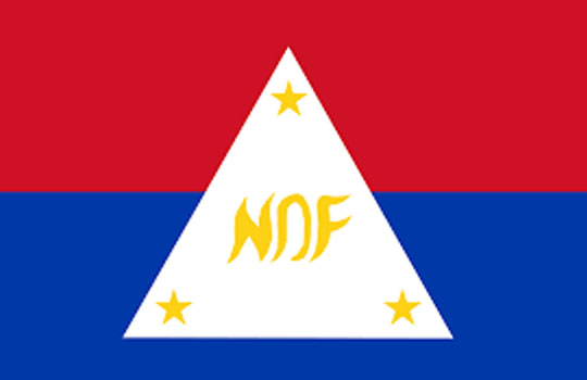 NDF LOGO