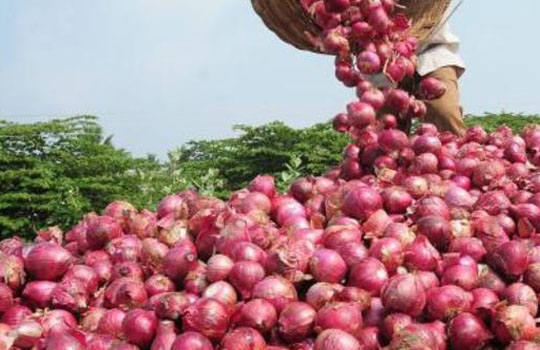 ONION FARMERS