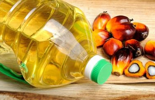 PALM OIL-2