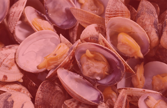 SHELLFISH POISON