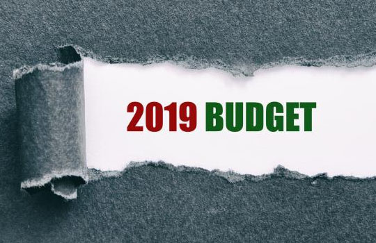 2019 budget-3