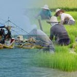 FISHERMAN AND FARMERS