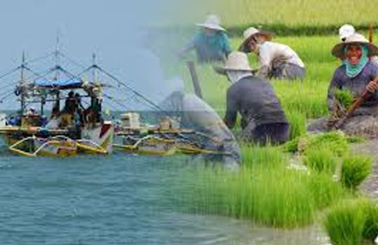 FISHERMAN AND FARMERS