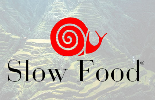 SLOW FOOD