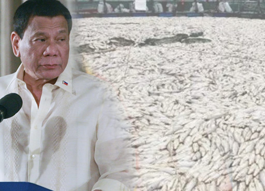 DUTERTE-FISH KILL.jpg