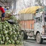 VEGETABLE TRADERS-TRUCKERS