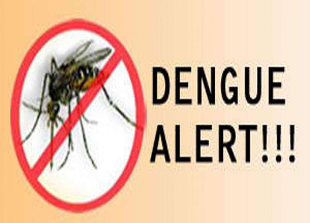 DENGUE ALERT