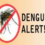 DENGUE ALERT