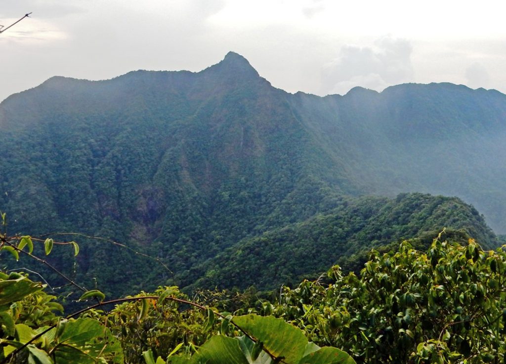 MT. MARIVELES