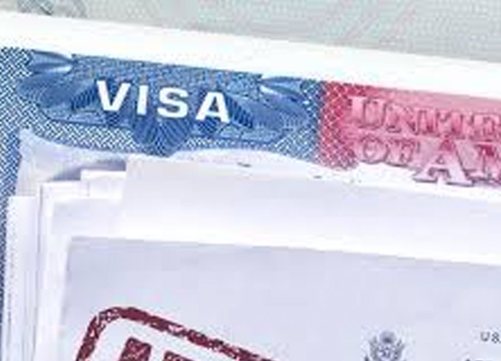 VISA-2