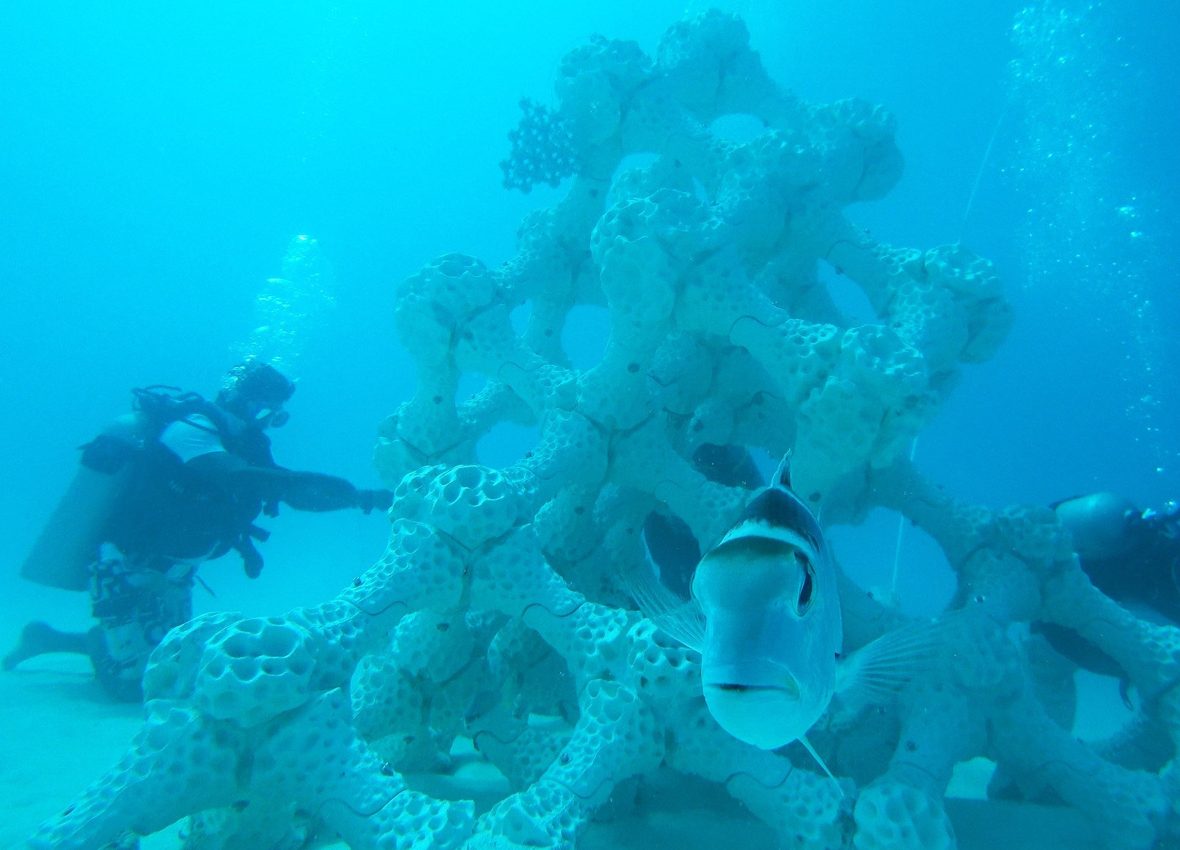 ARTIFICIAL REEF