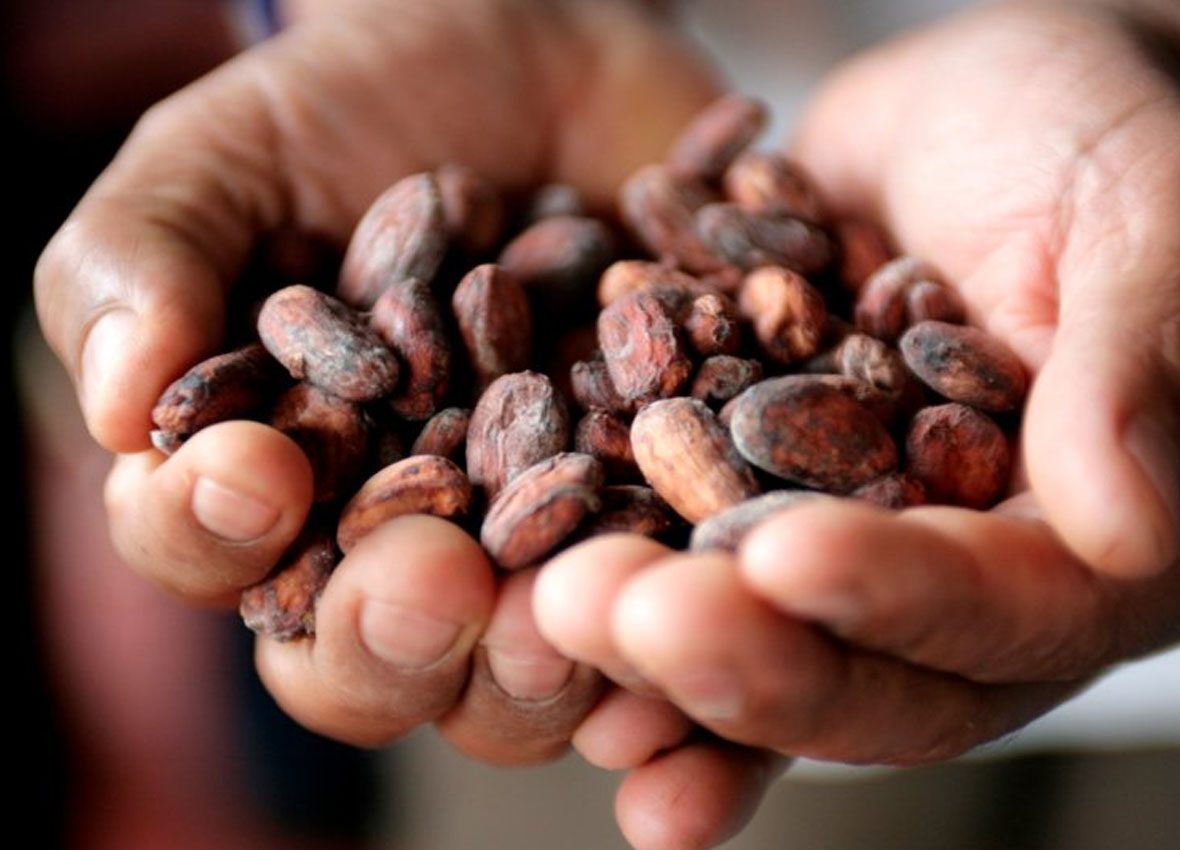 CACAO