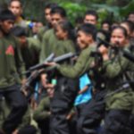 CPP-NPA