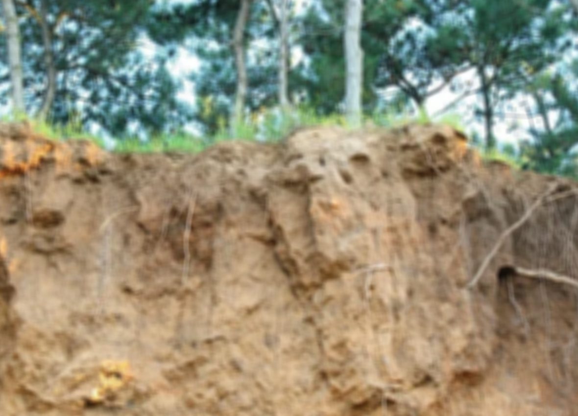 Soil Erosion