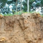 Soil Erosion