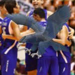 ateneo blue EAGLES