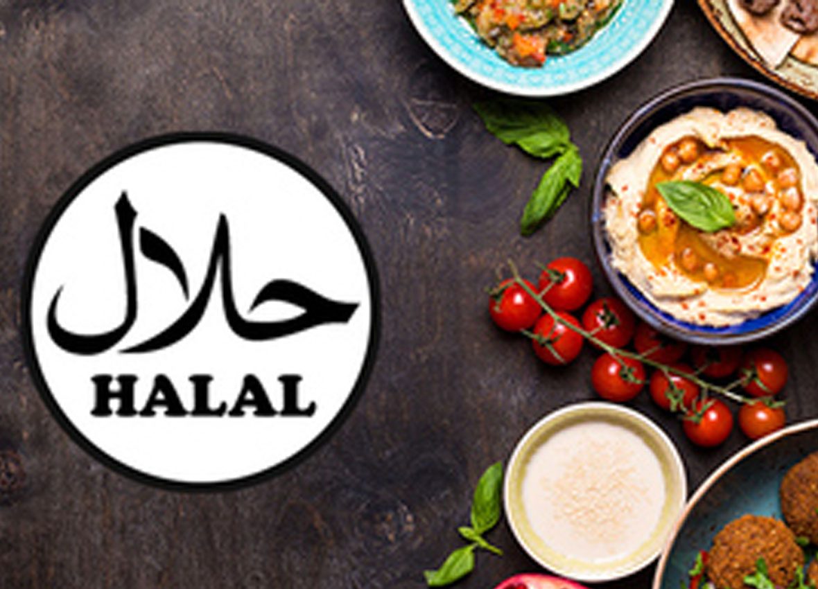 HALAL-4