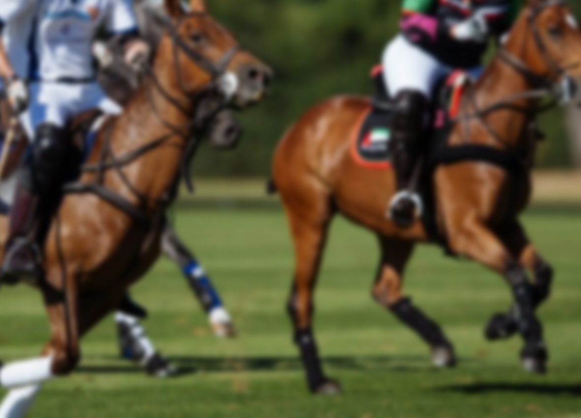 POLO MATCHES