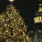 vatican christmas tree