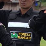 FOREST RANGER