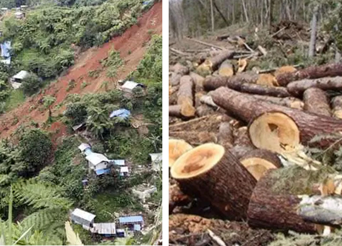 ILLEGAL LOGGING-QUARRYING