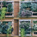 VERTICAL GARDENING