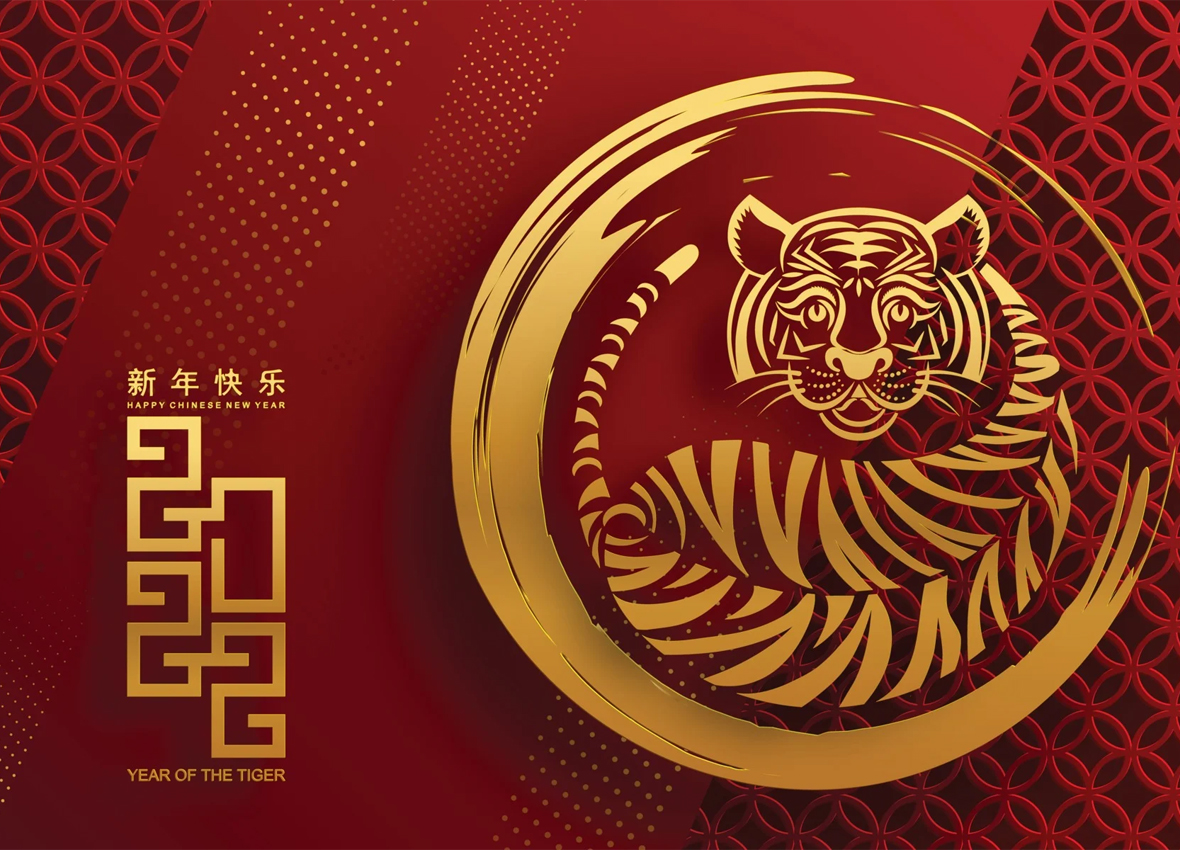 year of the tiger