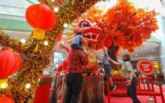 Chinese New Year Dragon Display installed on SM Mall Dasmarinas Cavite